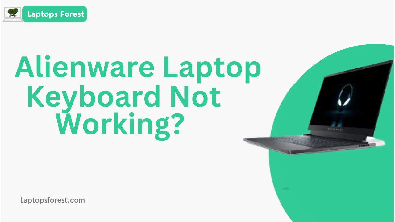 Alienware Laptop Keyboard Not Working?